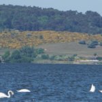 Wasser, Insel, Leuchtturm